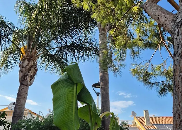 Bonito Independiente Apartment El Verger